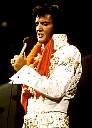 Elvis73a.jpg